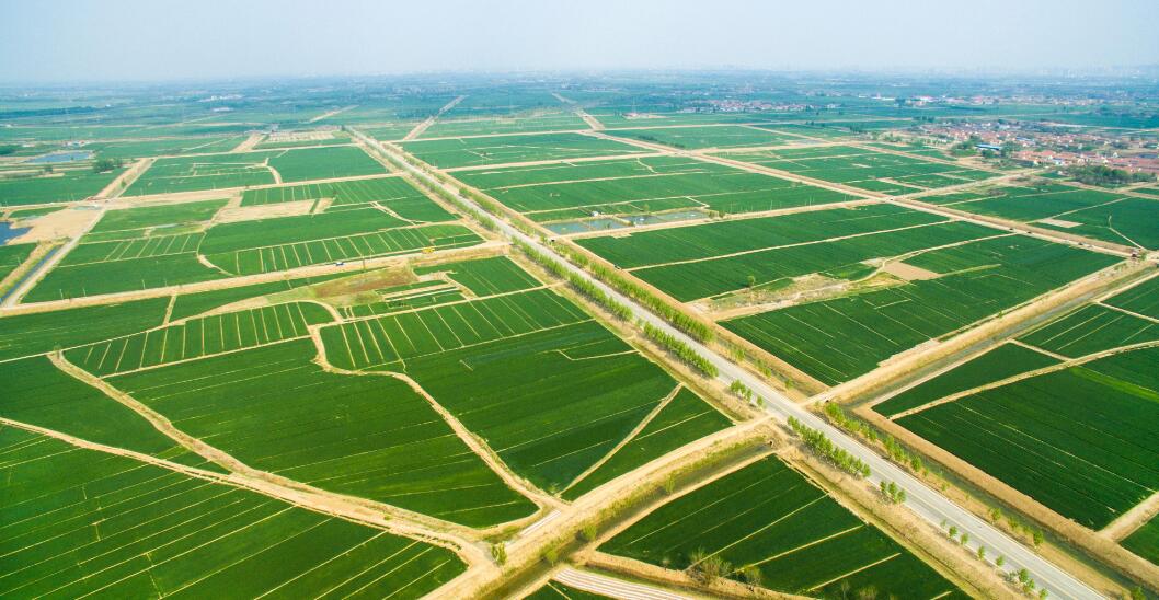 伊川县农业农村局2020年6万亩高标准农田建设监理项目(共2个标段)